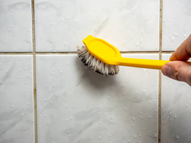 Best Home Mold Removal  in Cavalero, WA