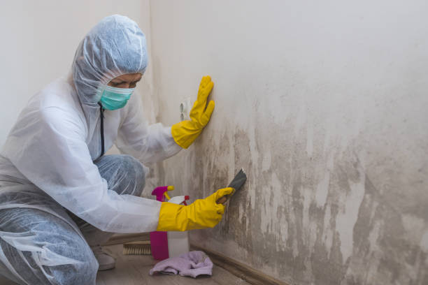 Best Emergency Mold Removal  in Cavalero, WA