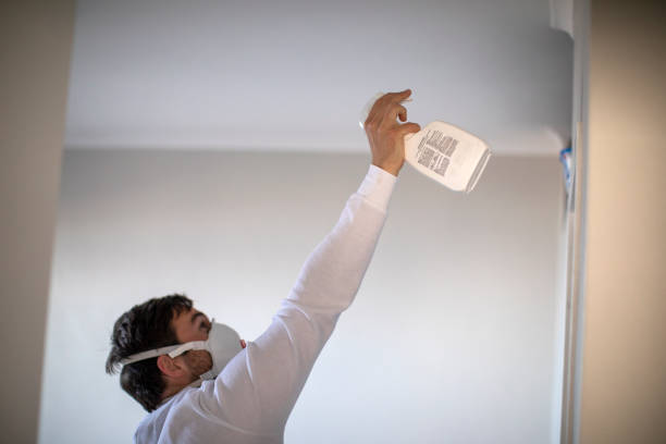 Best Local Mold Removal Service  in Cavalero, WA