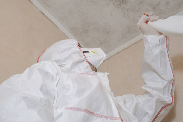 Best Same-Day Mold Removal  in Cavalero, WA