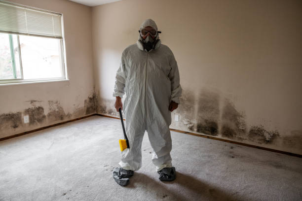 Best Mold Cleaning Services  in Cavalero, WA
